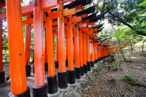 Vue de Fushimi Inari.