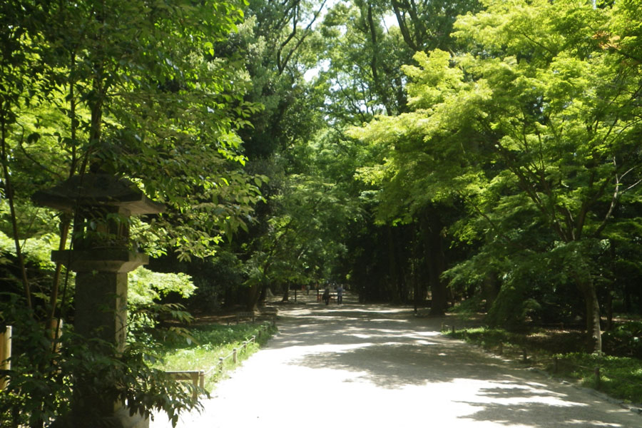 泉涌寺