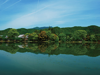 大沢池