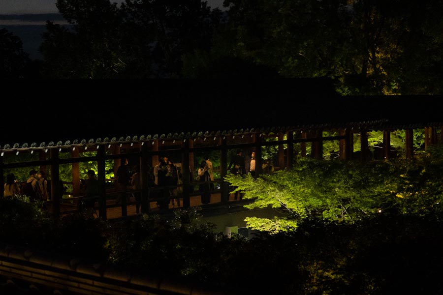 夏の東福寺ライトアップ情報